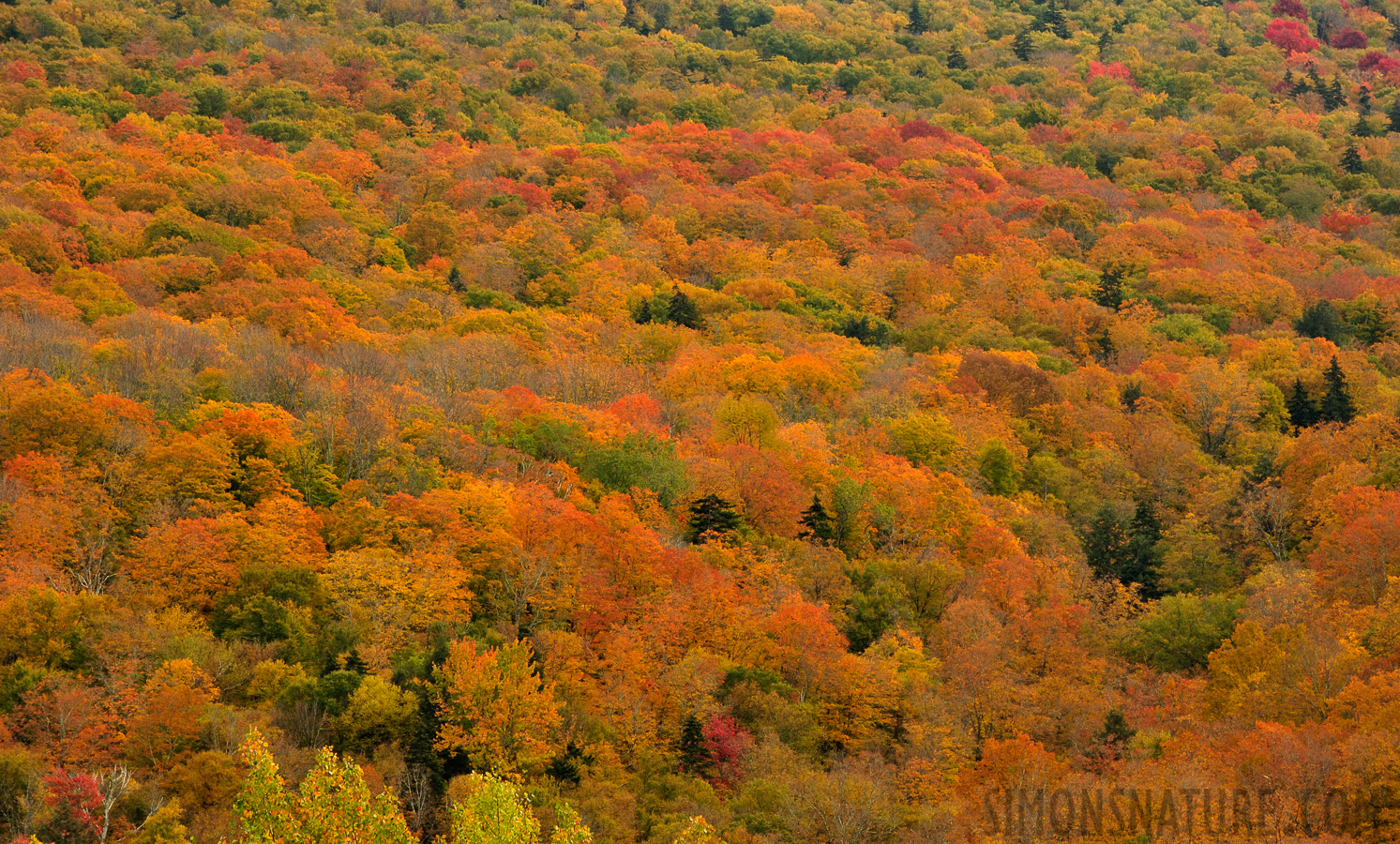 Vermont [210 mm, 1/160 Sek. bei f / 10, ISO 400]